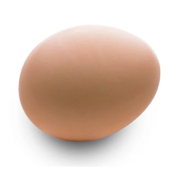 Fertile Hatching Chicken Egg/Fresh Chicken Table Eggs