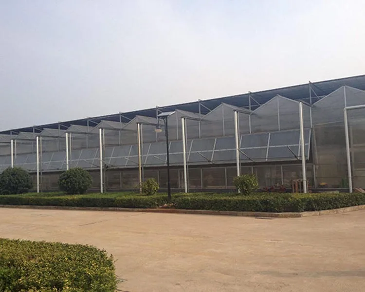 Agricultural Greenhouse  Venlo Glass Agricultural Green house shade green house for plants/vegetable/flowers