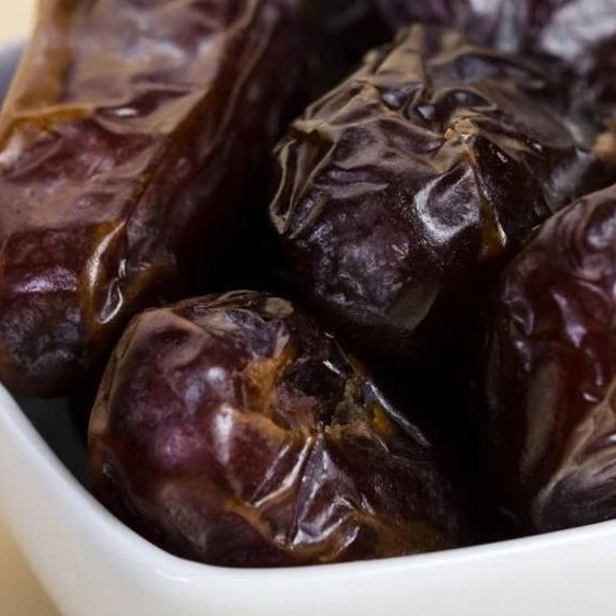  Best Quality Medjool Square Tub Date Palms Fruit