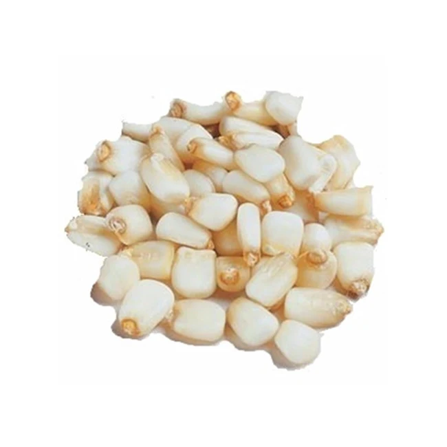 White Corn Haccp IQF Super Sweet Corn Kernel Bulk