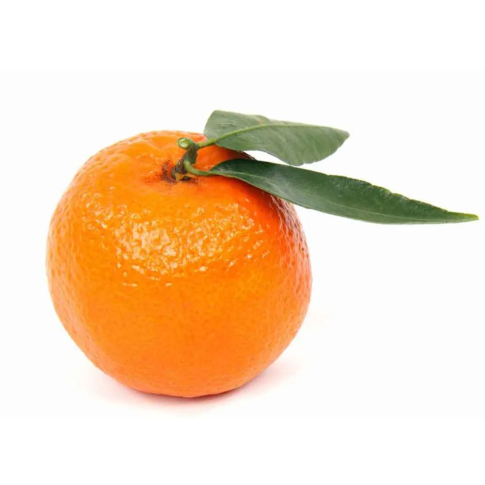 Новое поступление, 100% чистый натуральный свежий Мандариновый апельсин | Прямая продажа с завода, хорошее качество, Мандариновый апельсин