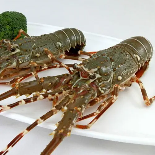 Высококачественные морепродукты по низкой цене/г-н Портер + 84 _ 896 _ 612 _ 931