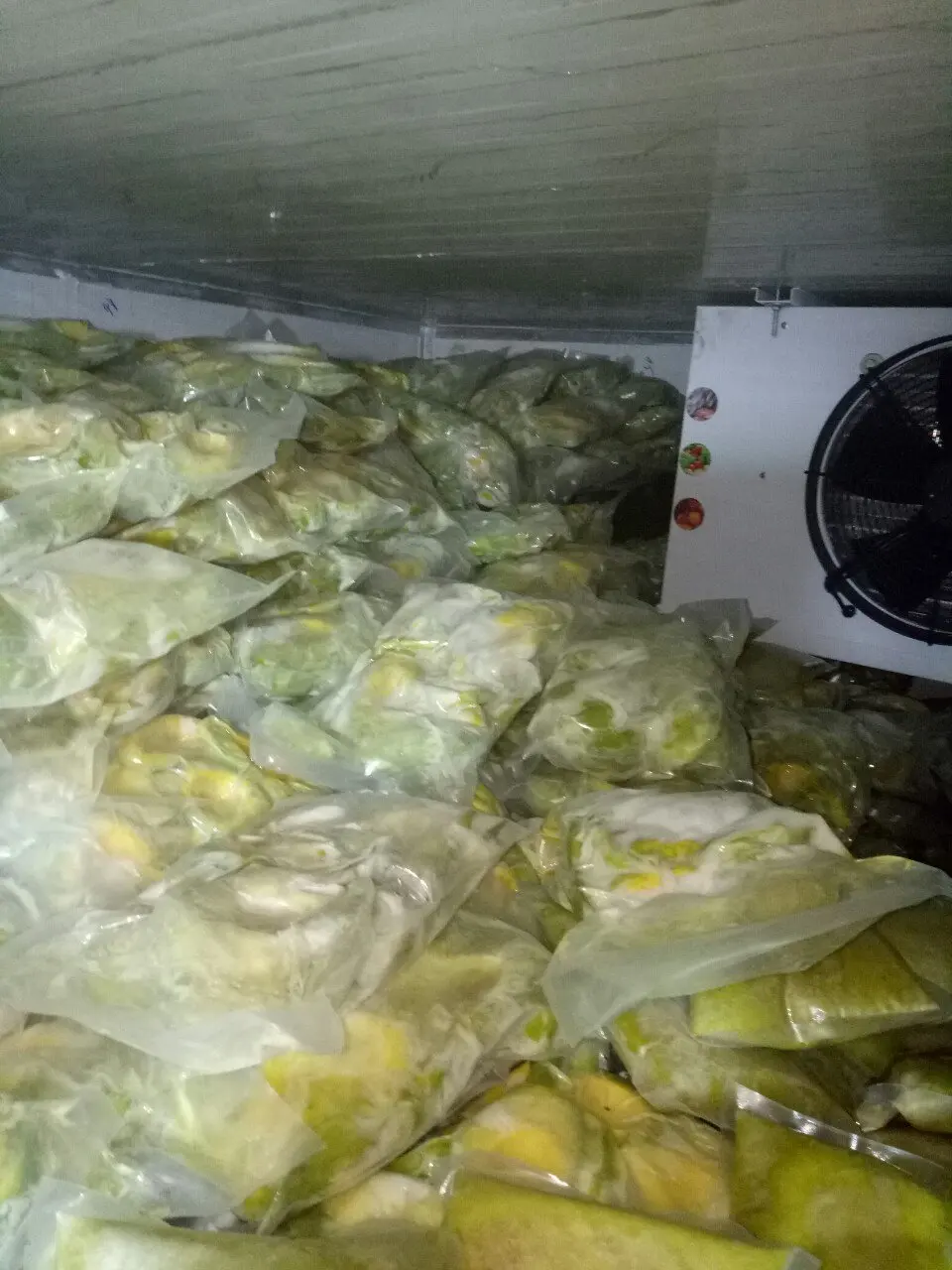 IQF FROZEN AVOCADO HALF CUT/ FROZEN AVOCADO CHUNK  FROM VIET NAM PACKING 10KGS//CARTON