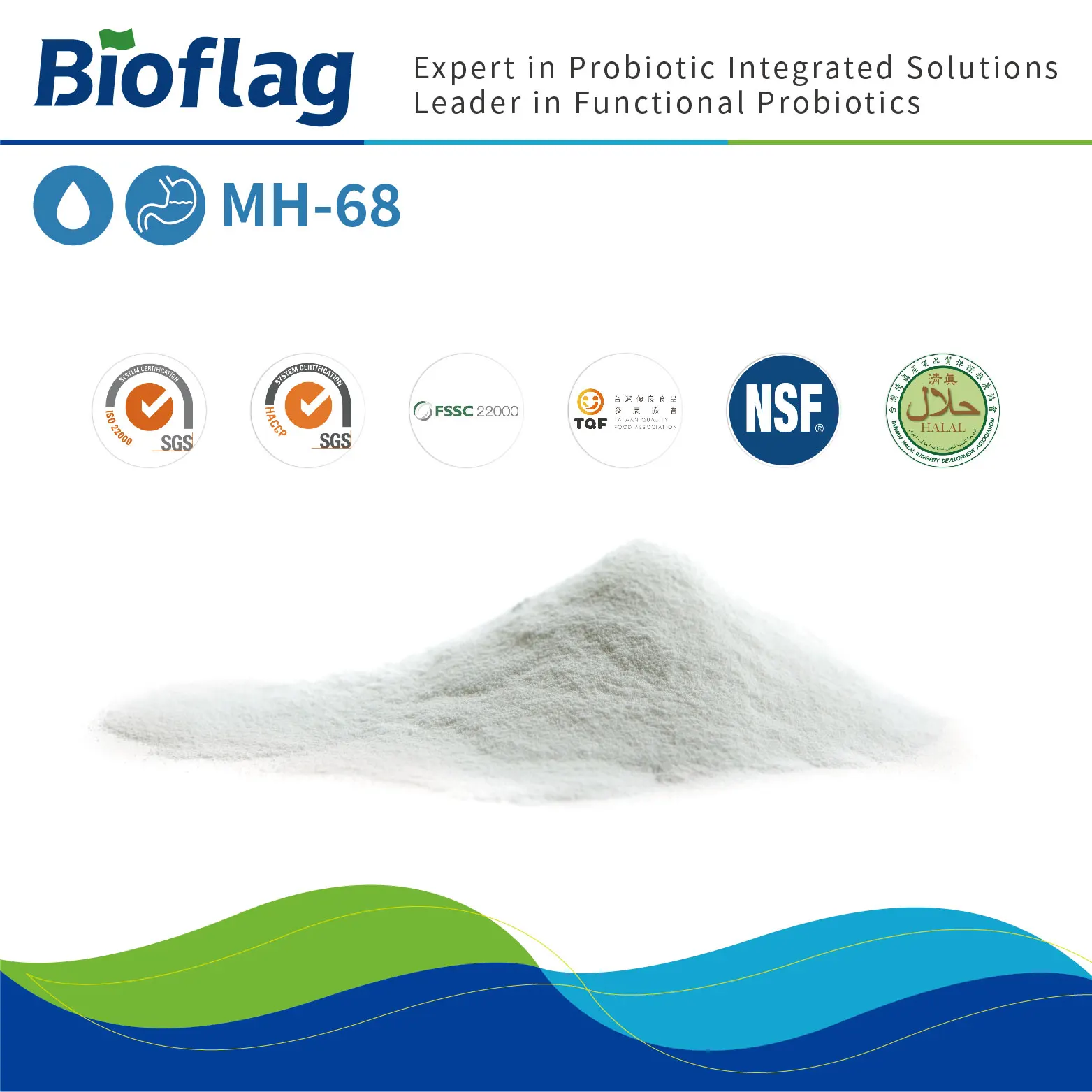 Helicobacter pylori infection prevention and stomach health probiotic Lactobacillus johnsonii MH-68