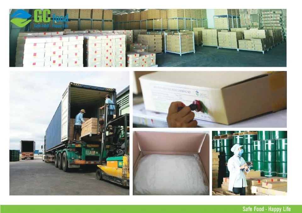 (GCFOOD) Aloe Vera Dice/Cube/Pulp/Jelly Made From 100% Fresh Clean Aloe Vera/Ms.Anna+84 364930172