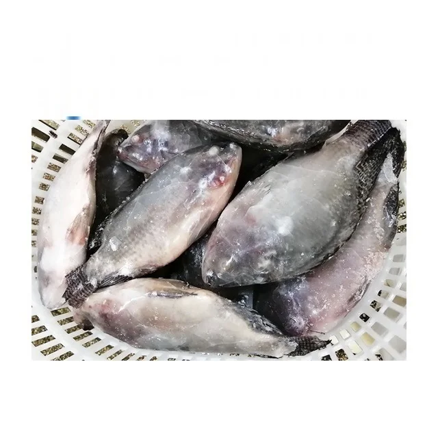 Черная Тилапия рыба замороженная