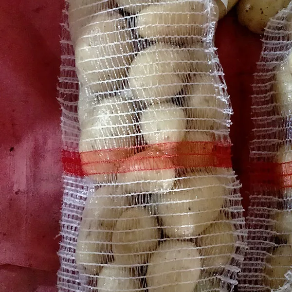 Fresh Holland Potato in Mesh Pack