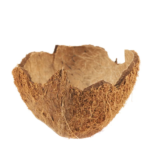 Raw Coconut Shell Material Agriculture Waste