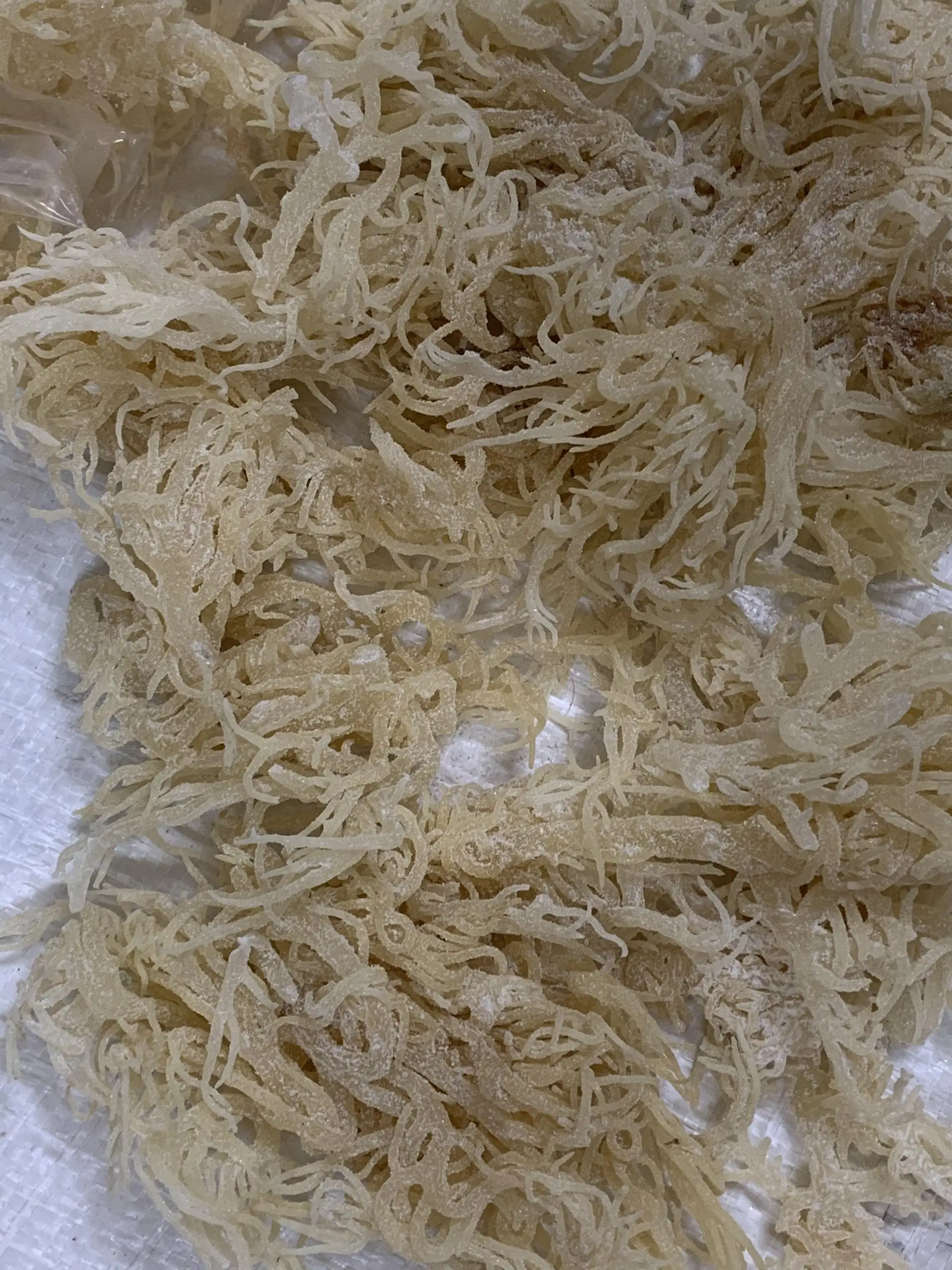 Wholesale DRIED EUCHEUMA COTTONII SEAWEED in Vietnam