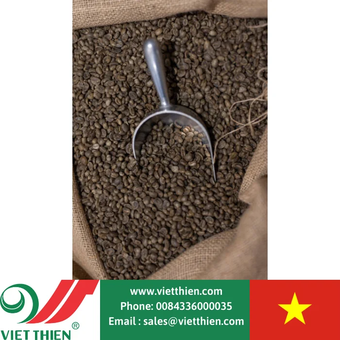  Высококачественные кофейные зерна Арабики для экспорта оптом доступны оптовой продажи по всему миру из Вьетнама