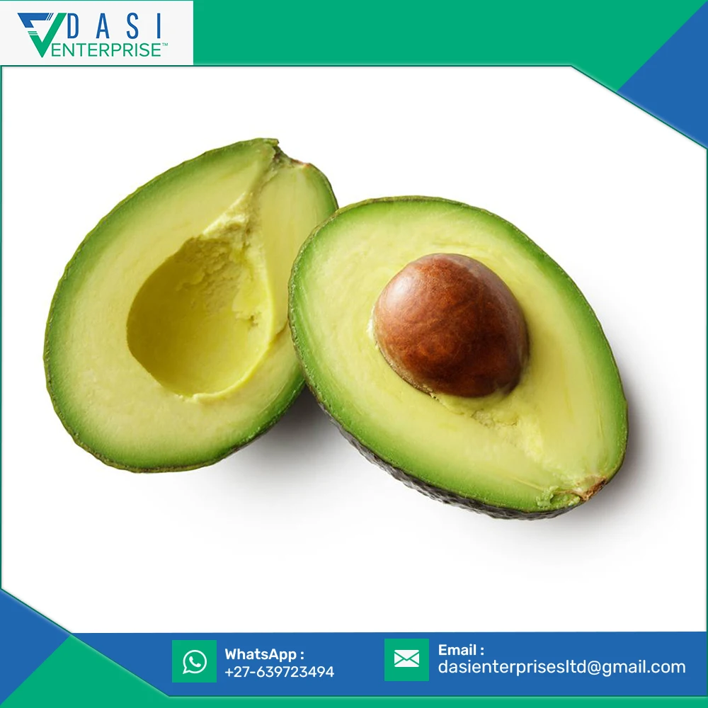  Hot Bulk Selling Of Natural Harvested Green Matured Fresh Avocado From South Africa At Less