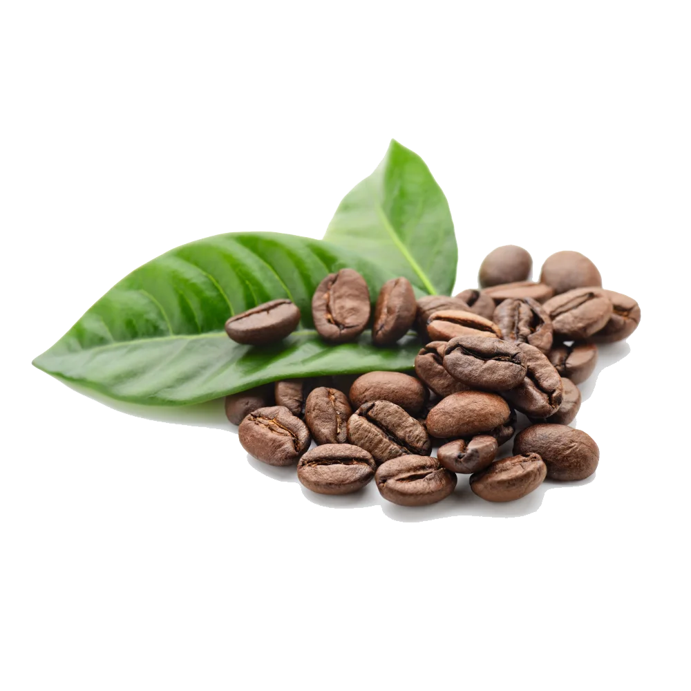 
High Quality Coffee Beans from Vietnam TOP SALE - Natural Robusta / Arabica Coffee with ISO 