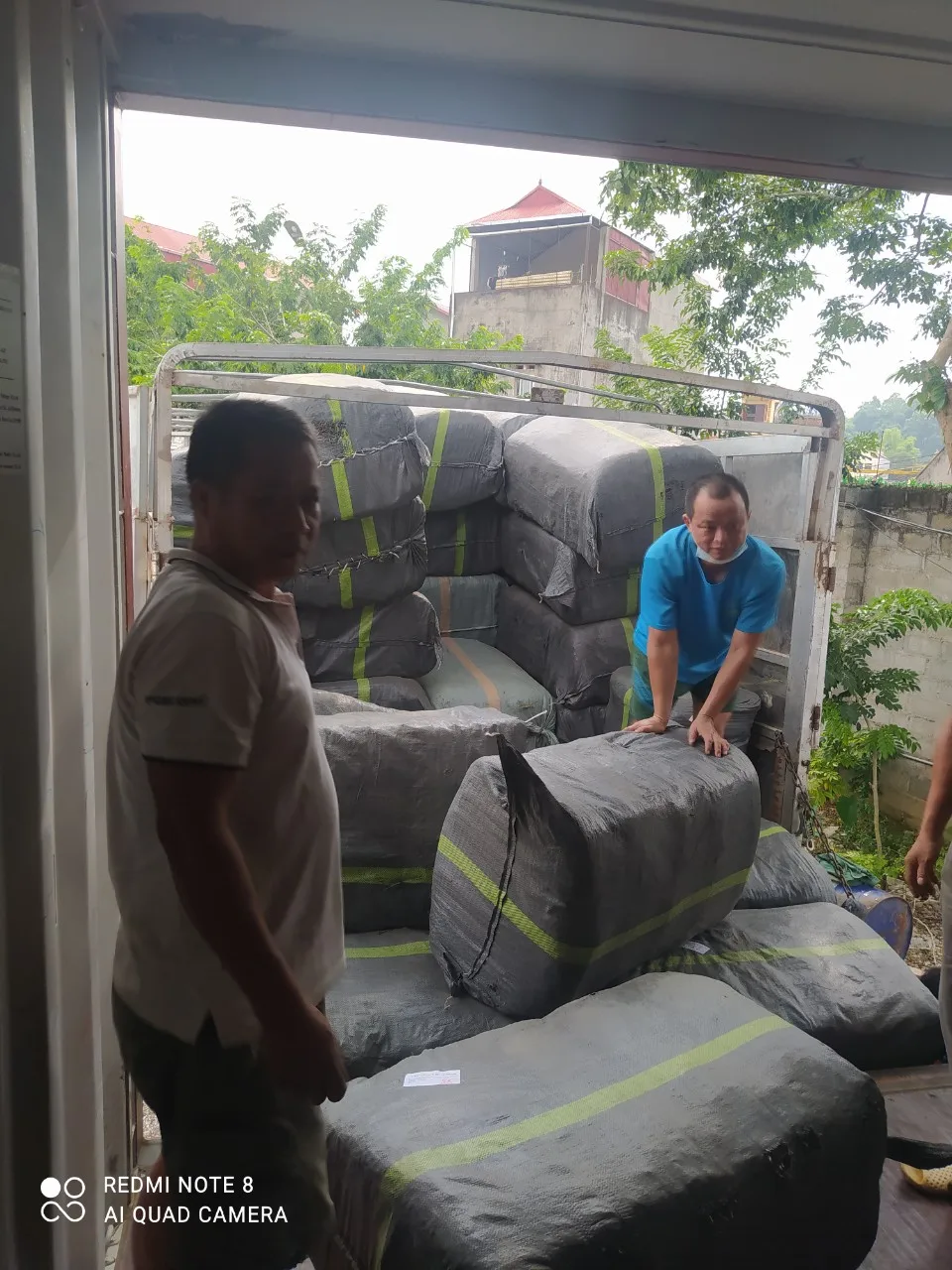 Натуральная черная трава желе листья сушеная экспортного класса MR PORTER + 84896612931