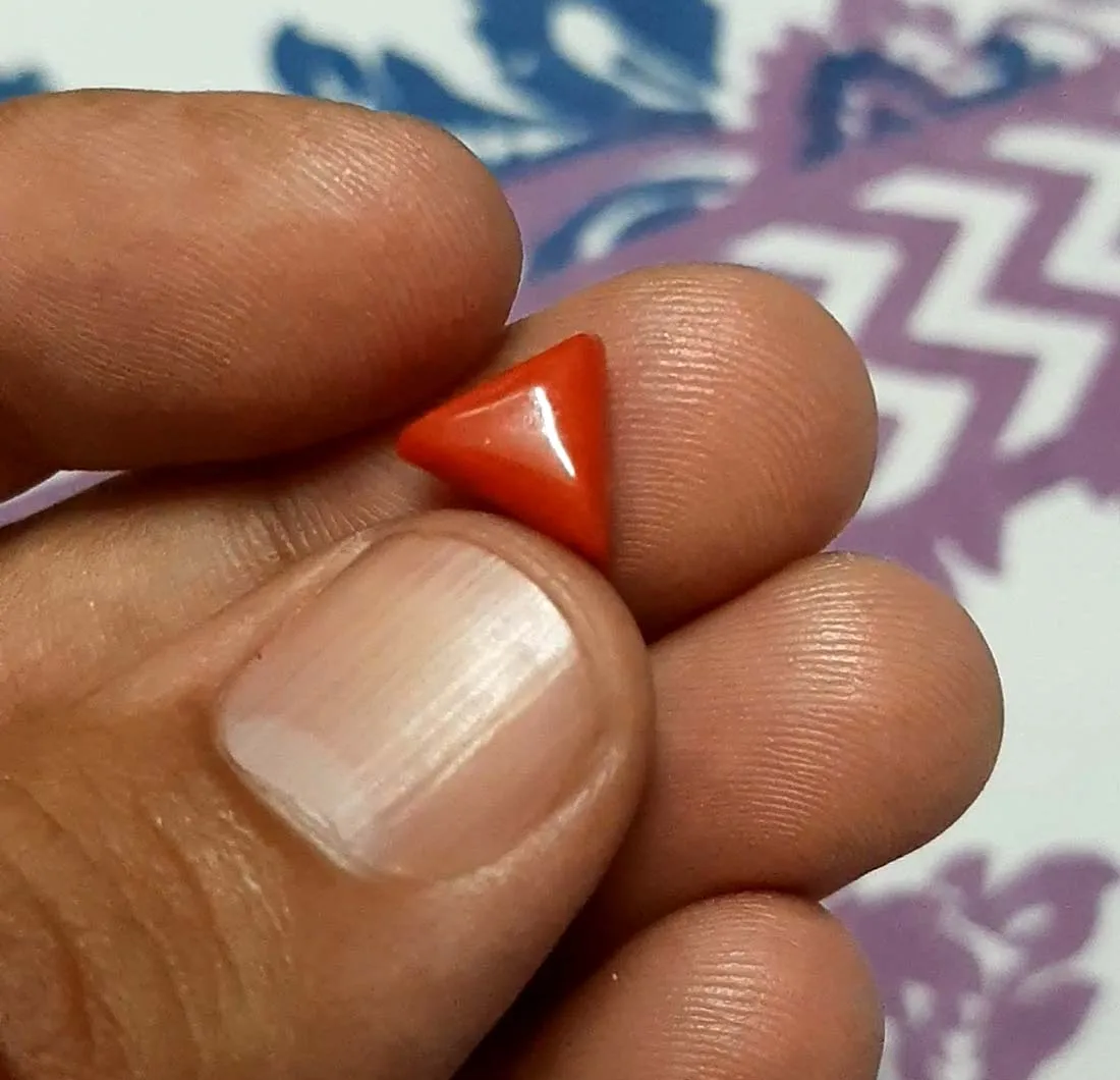 
Solid red coral multi gemstone cabochon for jewelry making 