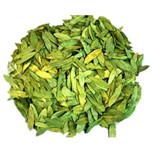 Senna whole leaves and crushed leaves green color no admixture no dark leaves no impurities fresh crop Cassia lanceolata