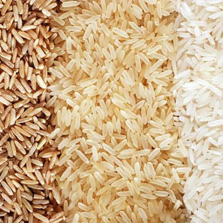 
Best Quality Premium Grade Rice Bran 