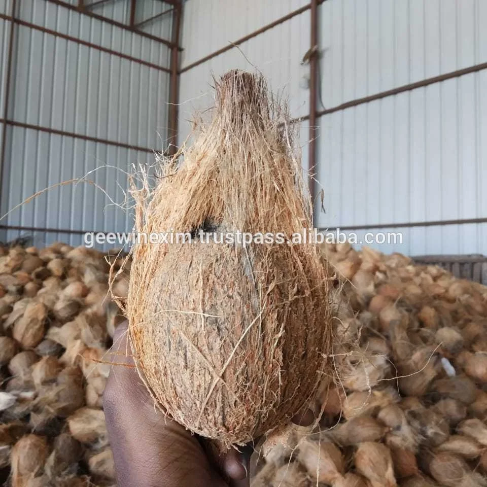 EXPORT QUALITY