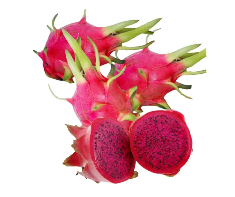 
Vietnam Red Dragon Fruit 