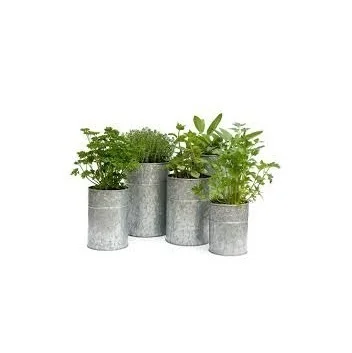 Metal Galvanized  Plant Pot Set of 4  Decorative Modern Indoor Planter  Office Desk Pot with Gold Metal Stand