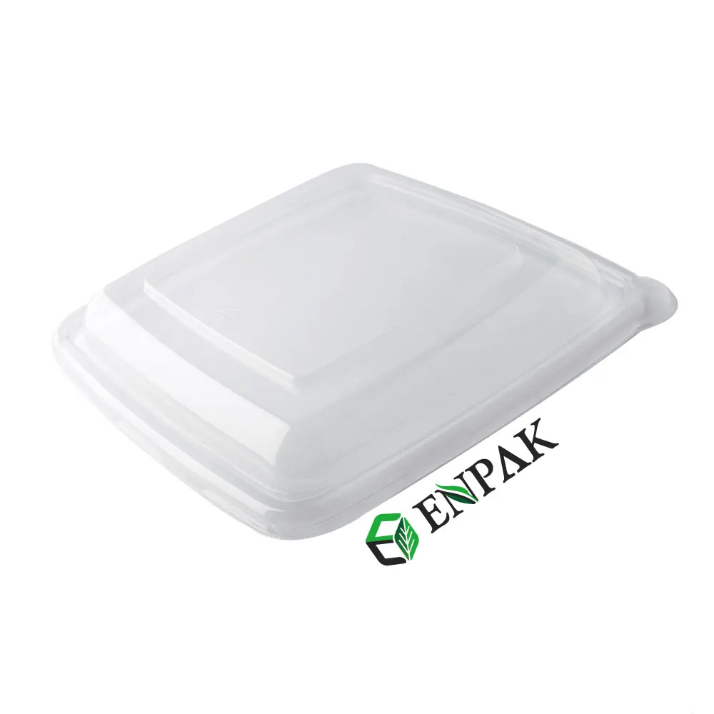 High Quality Takeaway Biodegradable Sugarcane bagasse food container