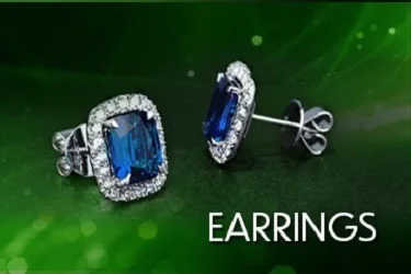 13-3 Product Category_e