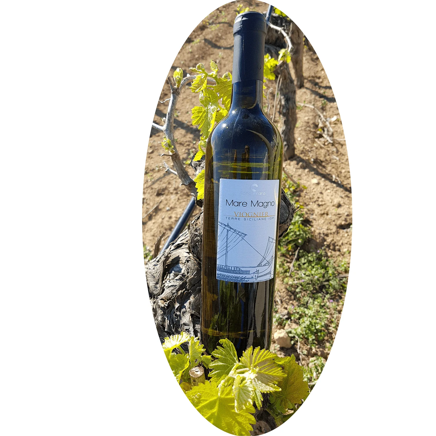 Высококачественное итальянское вино из Сицилии sancararo Sea Magno Viognier 75 cl Сделано в Италии алкоголь