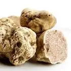 Made in Italy Food , natural truffle, packaged truffle, cream ,