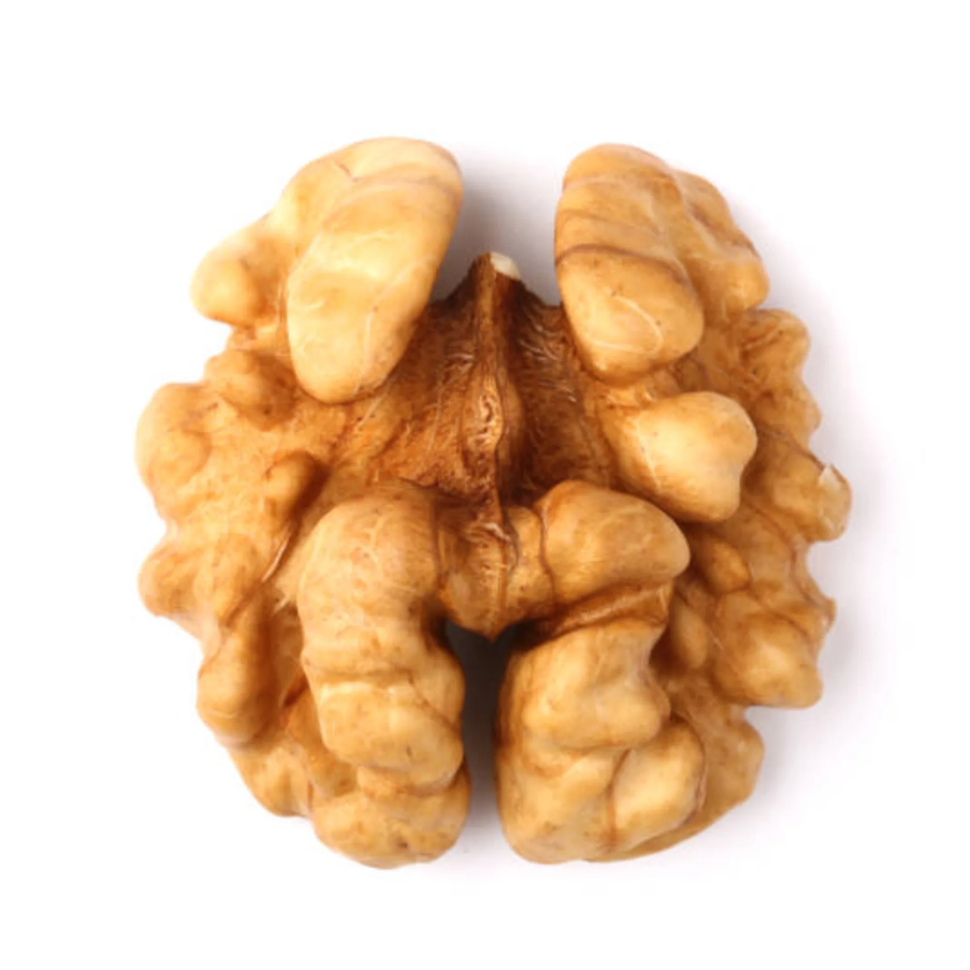
Ukraine Fresh Whole Nuts Raw Halves Kernels Fruit Walnut 