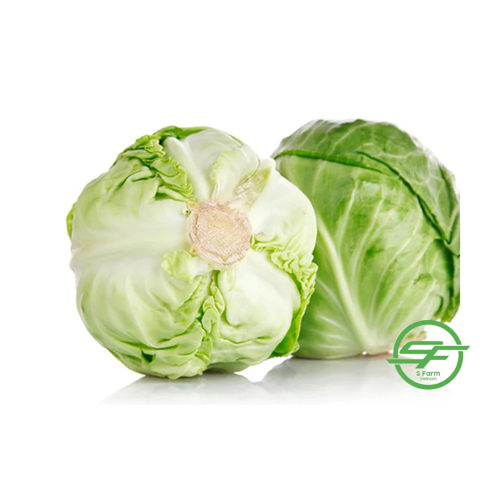 Свежая капуста Международная рыночная