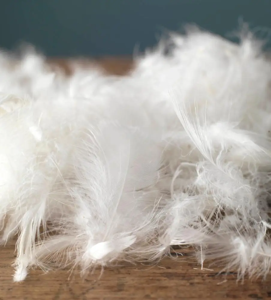 Top Vietnam sale low price 2-8 cm washed nature pure white duck feather