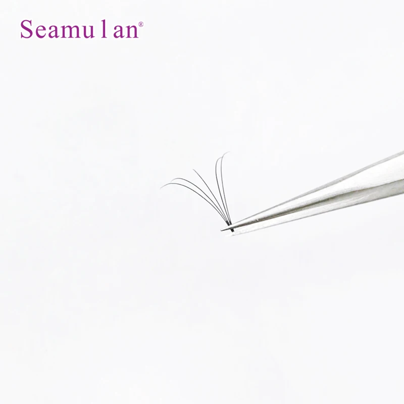 0.07 C  3Lines  Premade Volume Fans Short Stem  Available now  Fan Eyelashes Korean Black White Box Style  Package Feature Hand