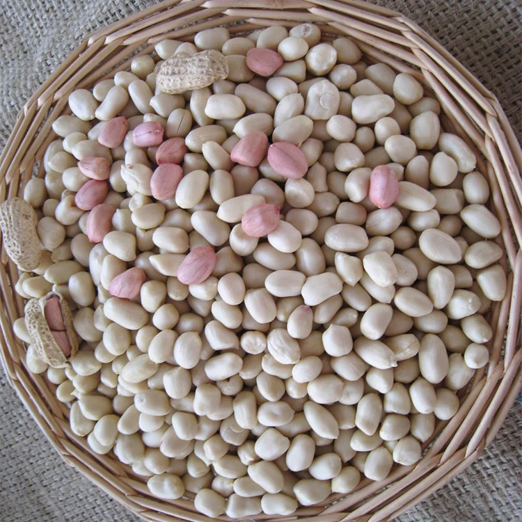 
Quality Peanuts, Groundnuts Wholesale South Africa & Kenya 