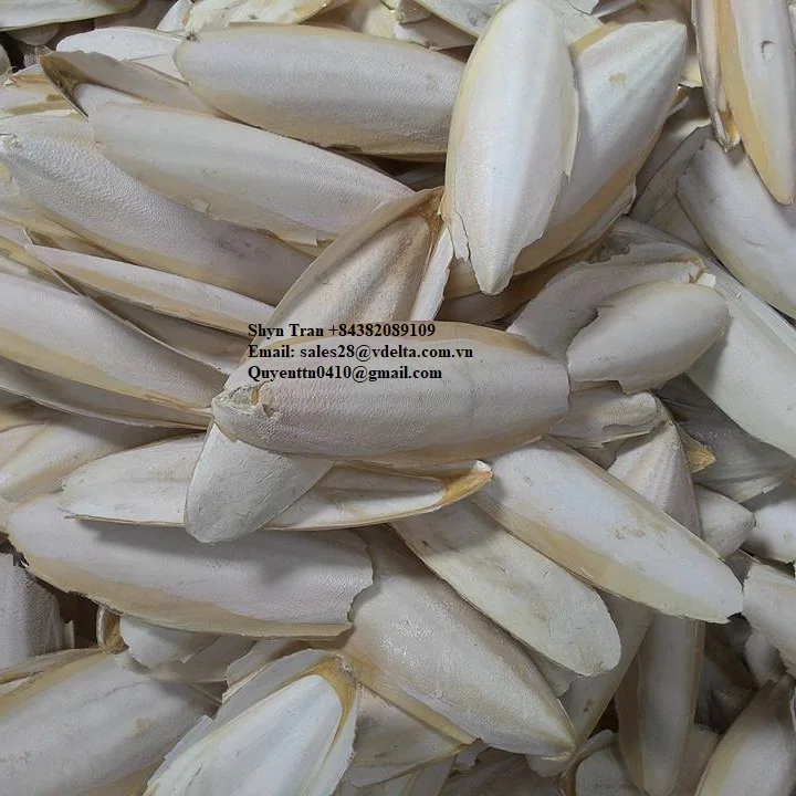 Вьетнамская косточка Для сушеных морских слепков Лучшая цена/косточка слепков/Shyn Tran + 84382089109