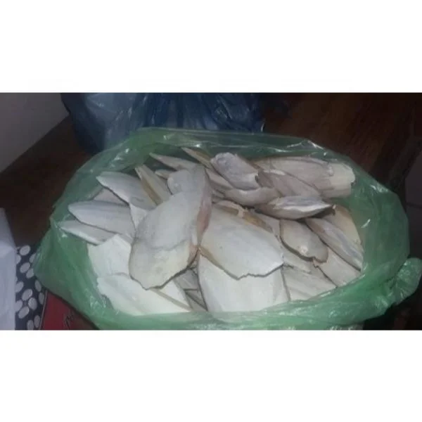 Offering processed feed/bird feed/dry cuttlefish bone