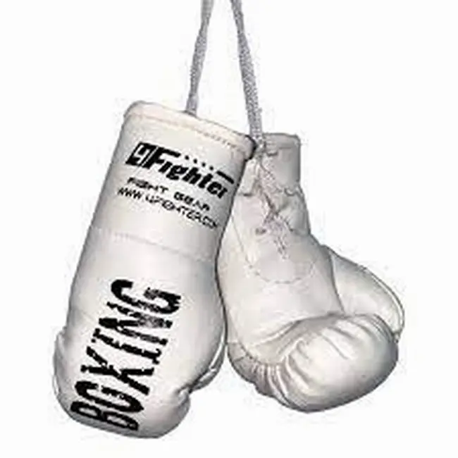 Good Quality Mini Boxing Pairs with Customized Logo Print Car mirror hang Made in PU Leather or Keychain piece