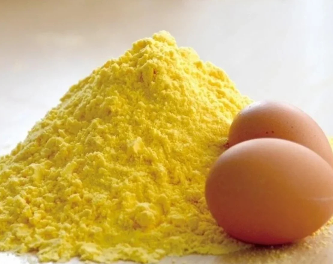 Egg Yolk Powder Proteins with Best Price