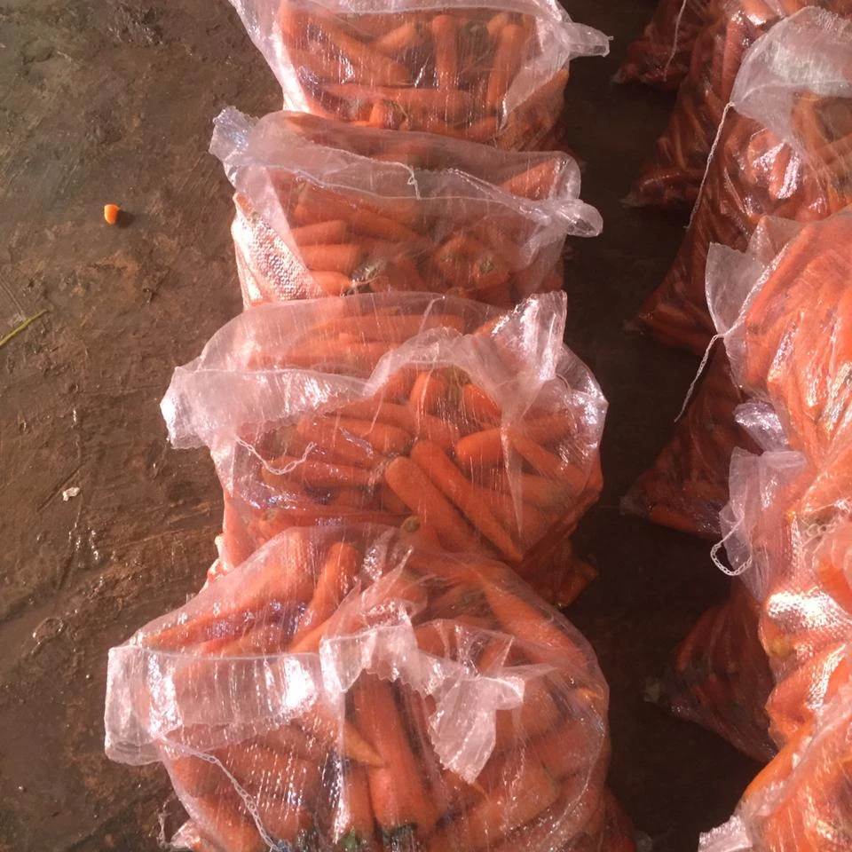 100% Natural Hot Selling Bulk Packing Fresh egyptian Carrot Orange Color BRC