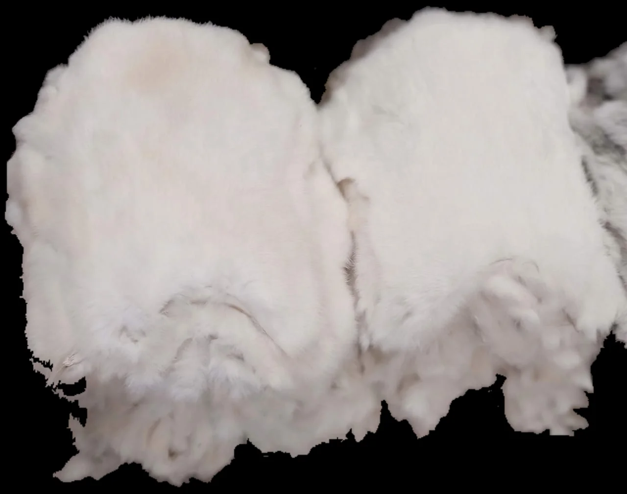 Rabbit Fur Natural White Color Sizes 30 cm Up For Garments / Decoration