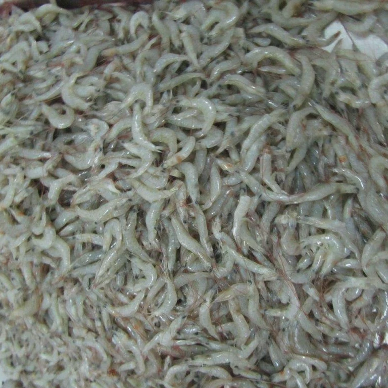 FROZEN RIVER SHRIMPS