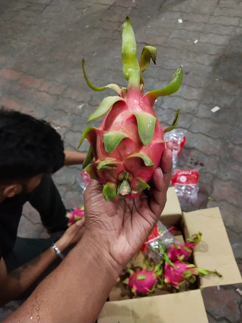 VIETNAM DRAGON FRUIT GREAT QUALITY FOR TRADER WHATSAPP VIBER 0084326572671