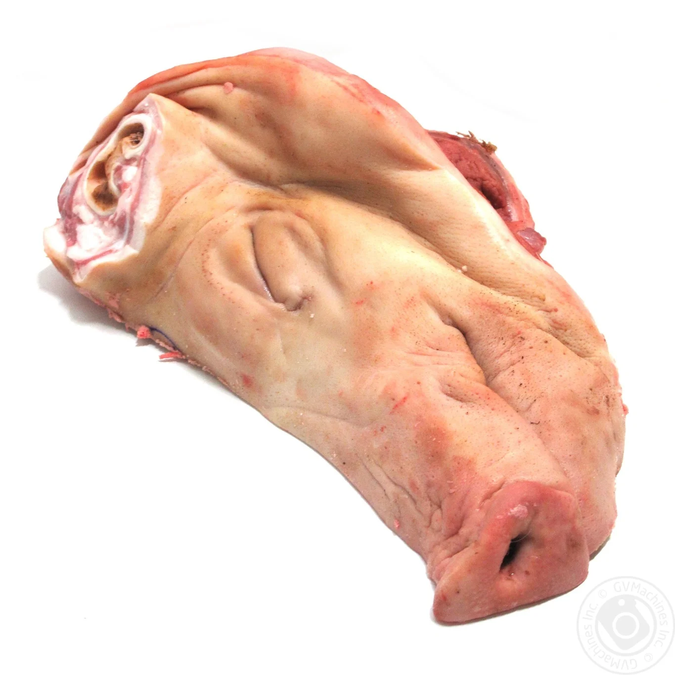 FRESH FROZEN PORK HEAD FROZEN PROCESSING PORK HEAD  MONTENEGRO ORIGIN HIGH QUALITY A GRADE PORK HEAD