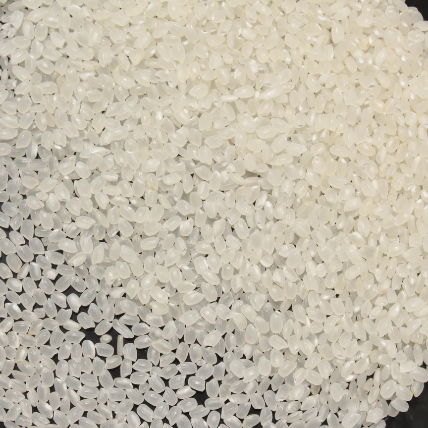 Wholesale Premium Quality Short-Grain Rice White Color Japonica Rice DS1from Vietnam Best Supplier