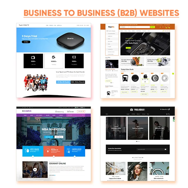 Business Website, Paypal Accepted Online Stores, Website Design and Development Alibaba Shopping Website Online Website Business
