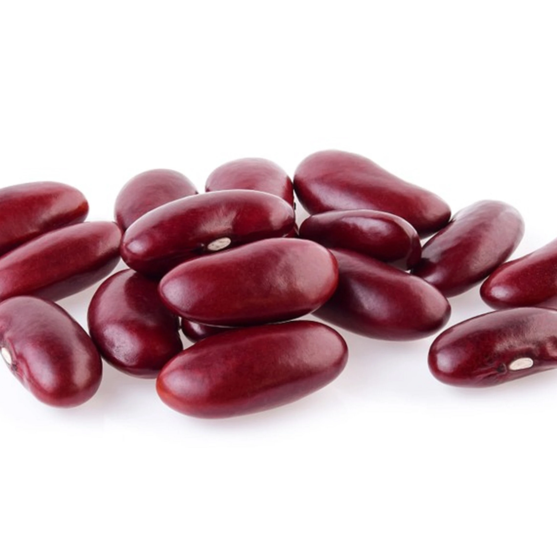 High Quality Natural Organic and Wholesale Long Red Kidney Beans