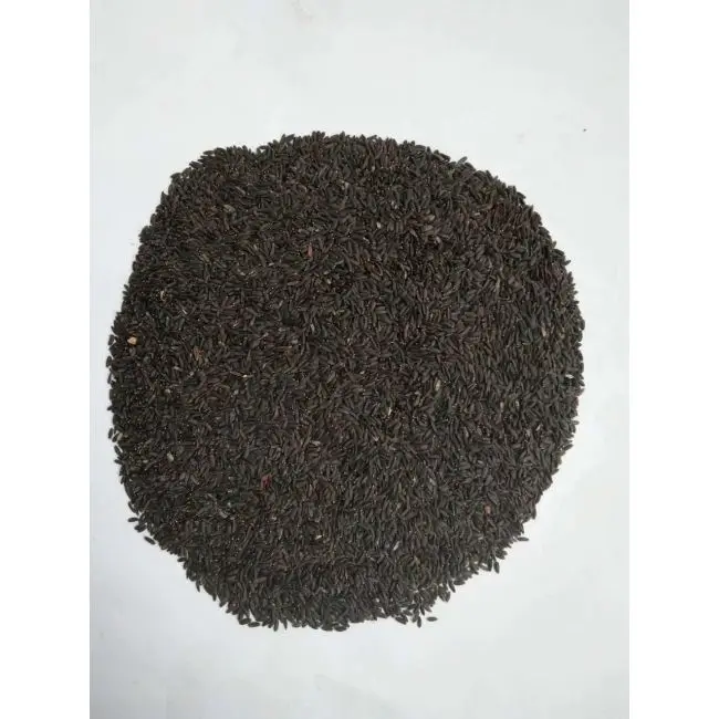 Семена базилика/благо/тукхме рехан