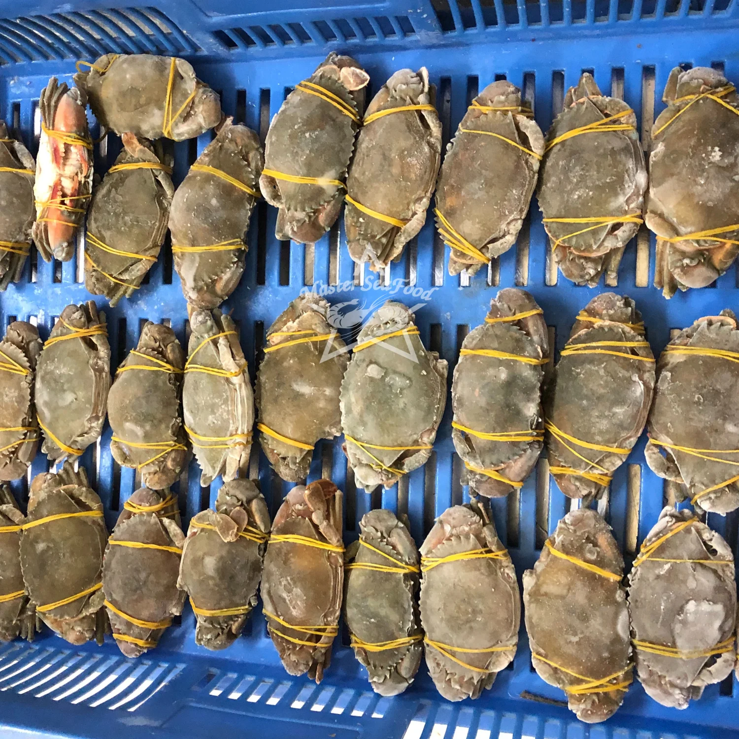 Mud Crab Frozen IQF Best Quality Master Seafood Product Size 300-1000gm Origin Bangladesh Wholesale offer Price