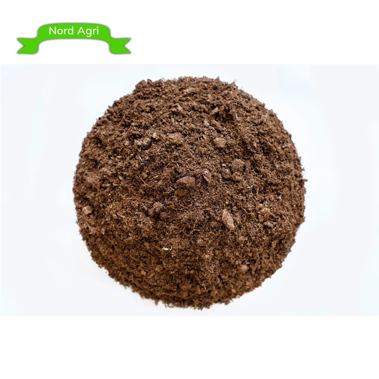 
Best Quality Professional Peat Moss Substrate Sphagnum at Least Price 