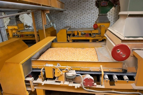 Compound feed for the sporting and trained horses