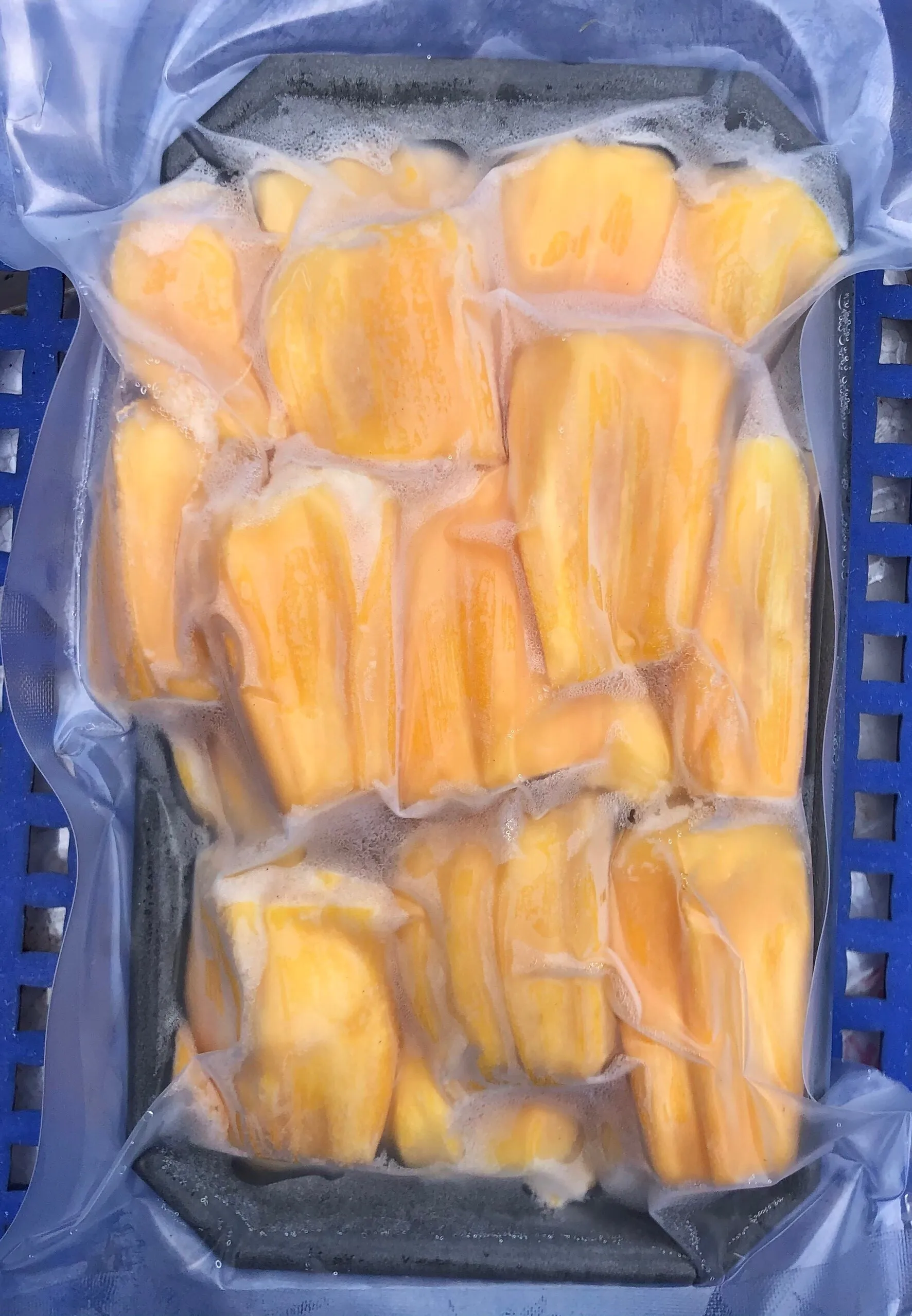 Frozen Jackfuit with high quality from Vietnam