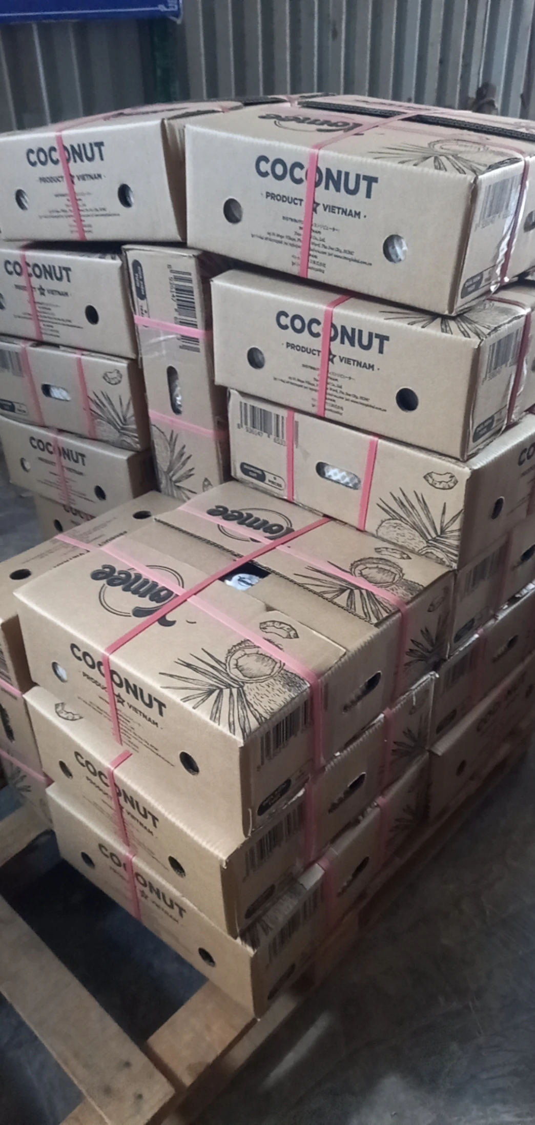 Алмазная линейка Xiem с кокосом